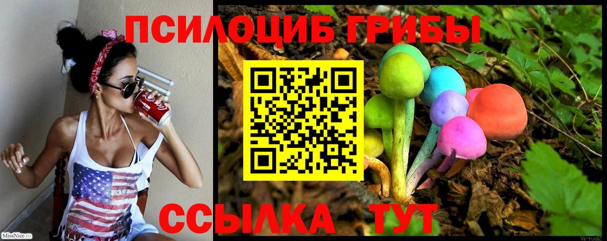 Псилоцибиновые грибы ЛСД  Вход с VPN  Галлюциногенные грибы ЛСД  Котовск 